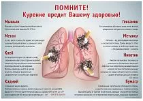 Информационный плакат курение убивает (45х60; Бумага, ламинированная; )
